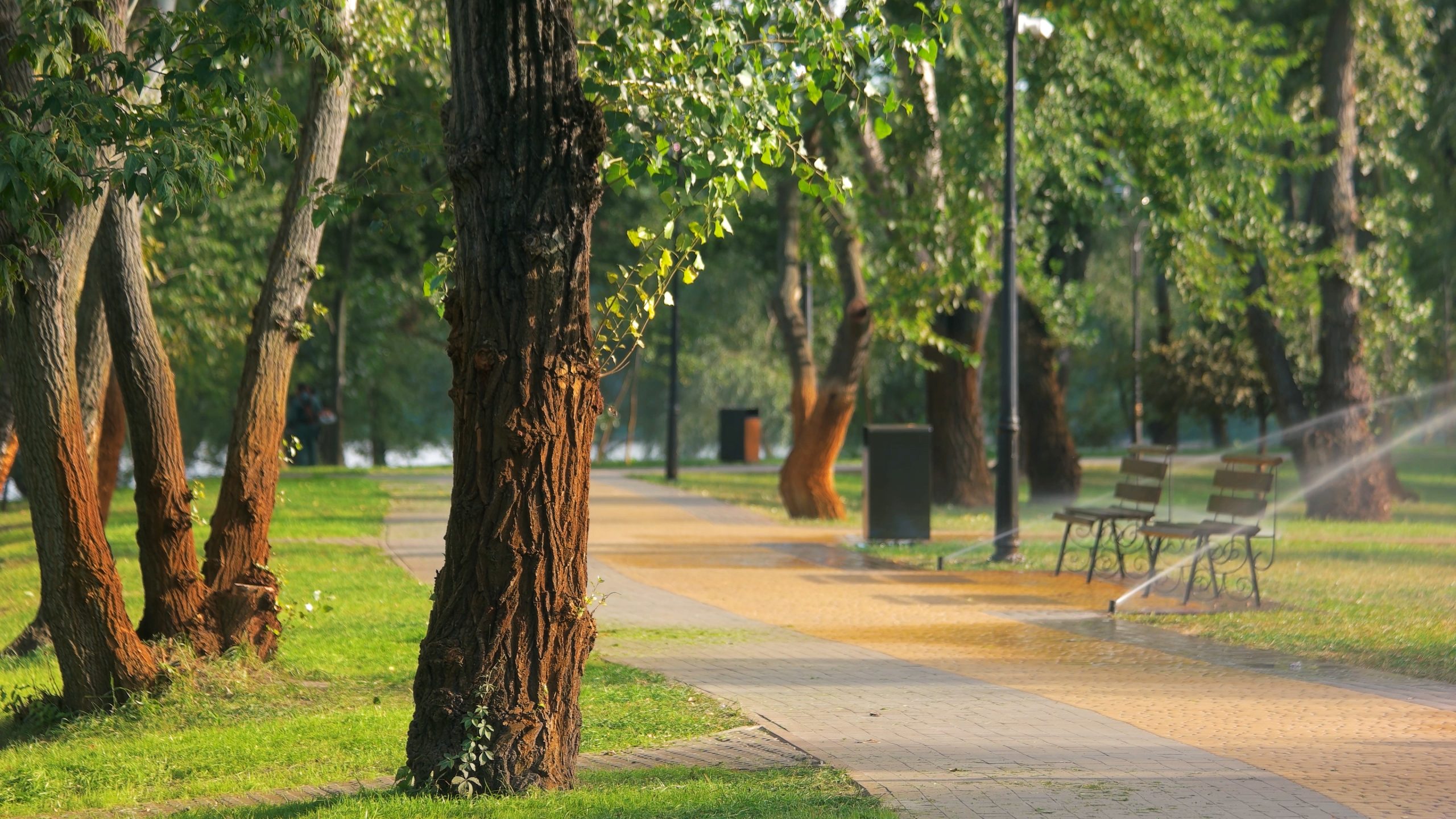 Best Park Asphalt Paving Company<br />

