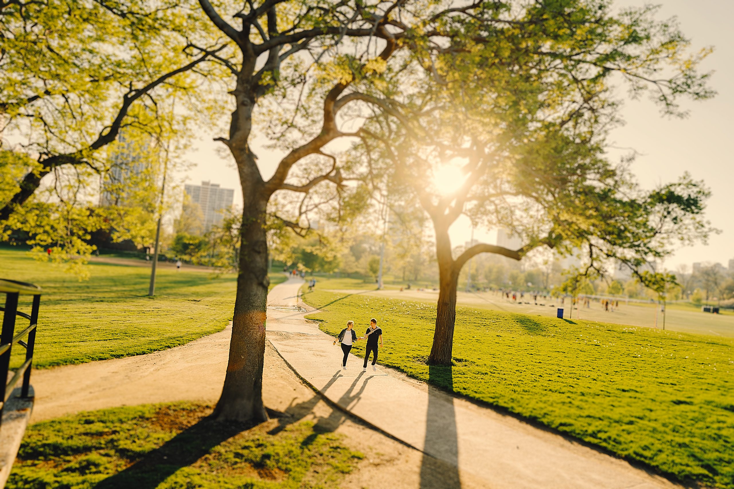 Commercial Asphalt Paving for Parks Commercial Asphalt Paving for Parks